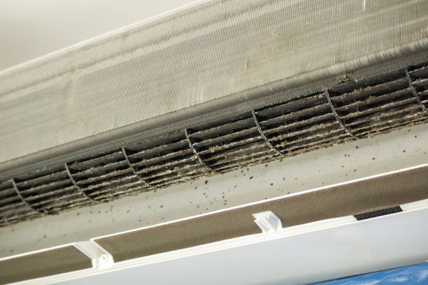 Trusted Whitfield, FL Airduct Cleaning Experts